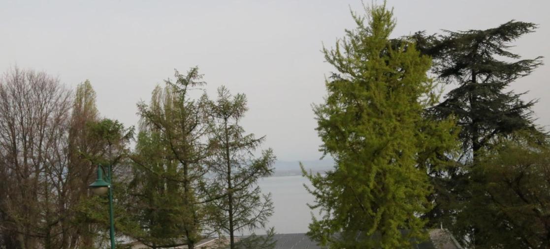 Magnifique T3 Face Au Lac إفيان ليه با المظهر الخارجي الصورة